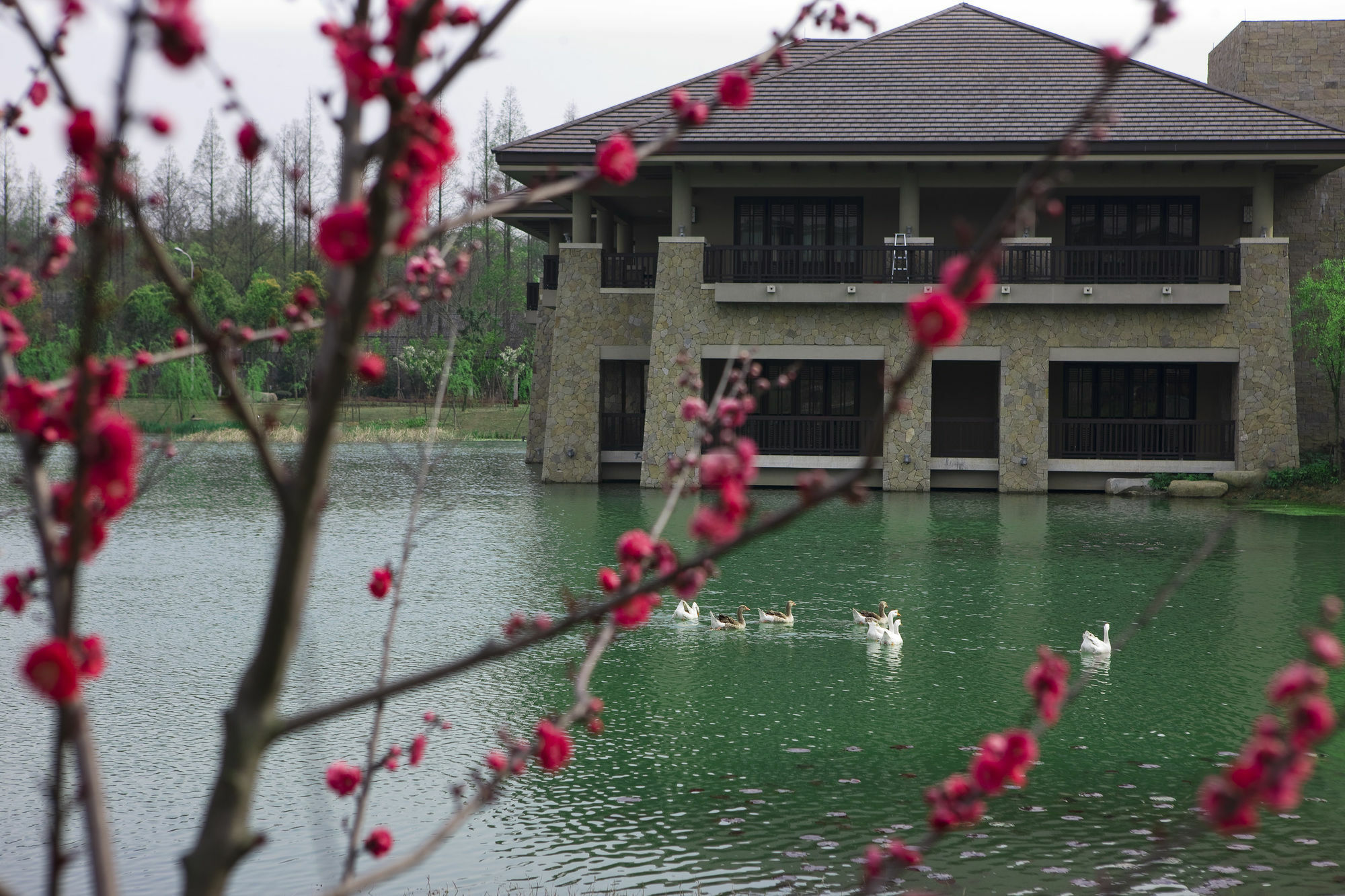Narada Resort & Spa Liangzhu Hangzhou Exterior photo